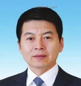国家铁路局局长费东斌被查：深度解析与影响展望